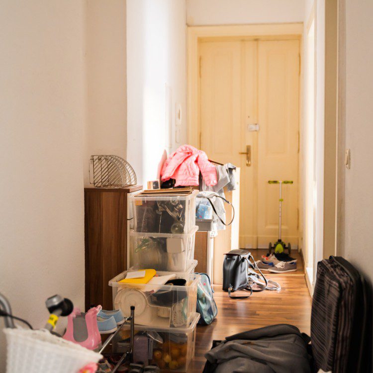 Lawn and Garden Services in Fort Worth