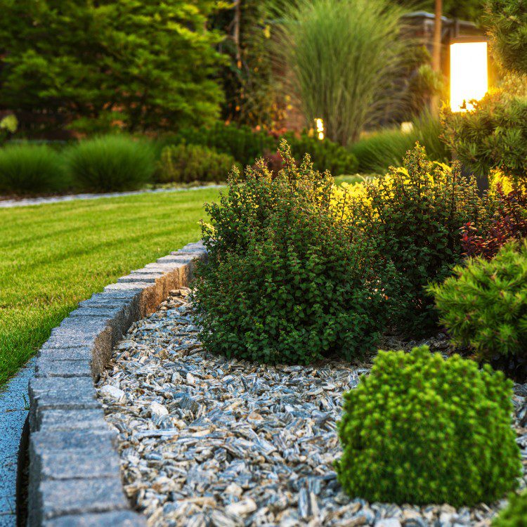 Lawn and Garden Services in Fort Worth Lawn and Garden Services in Fort Worth