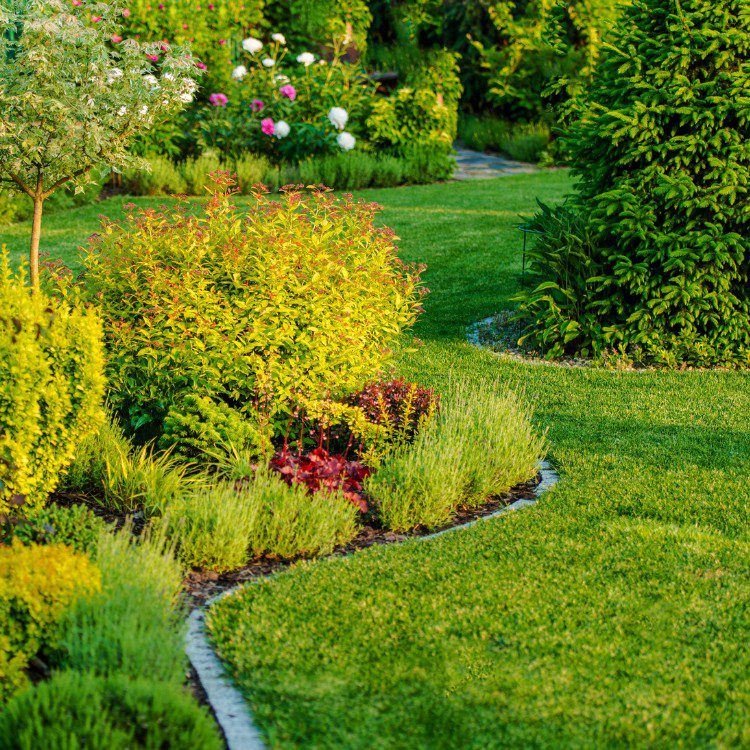 Lawn and Garden Services in Fort Worth