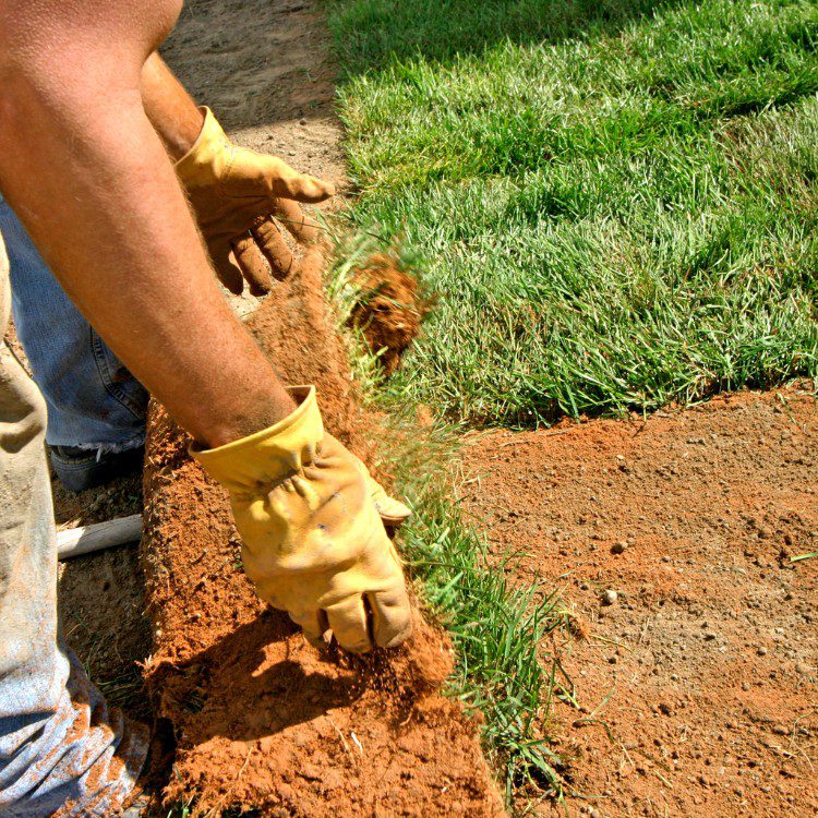 Lawn and Garden Services in Fort Worth Lawn and Garden Services in Fort Worth
