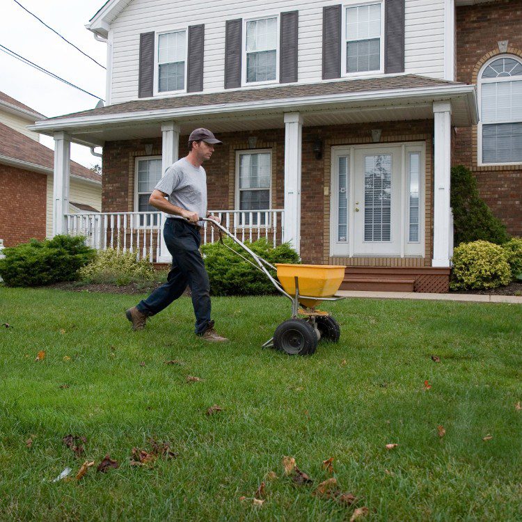 Lawn and Garden Services in Fort Worth