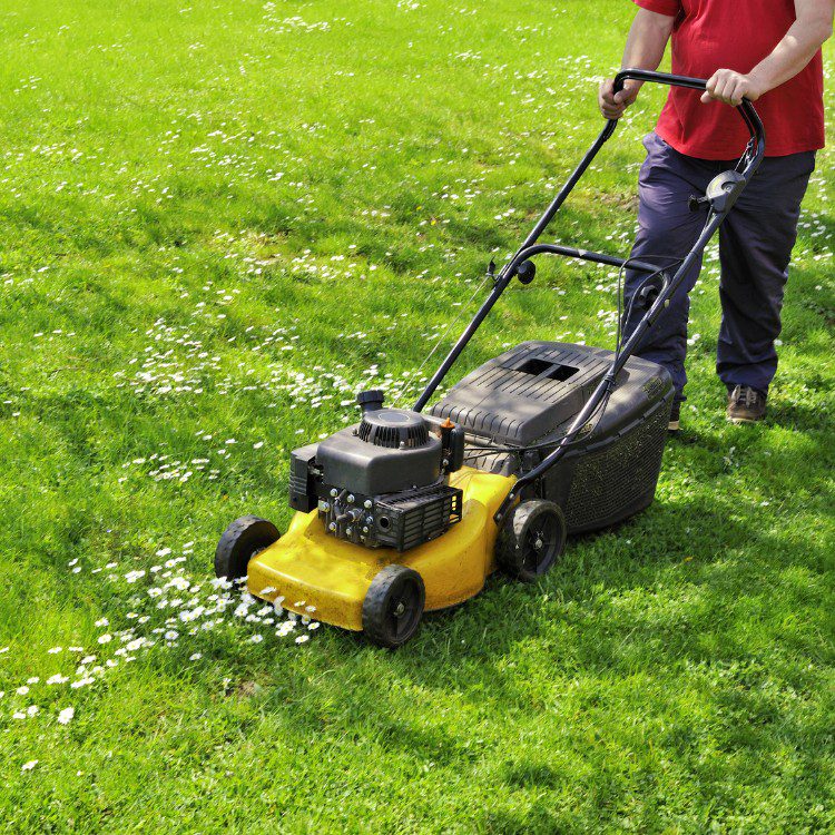 Lawn and Garden Services in Fort Worth Lawn and Garden Services in Fort Worth