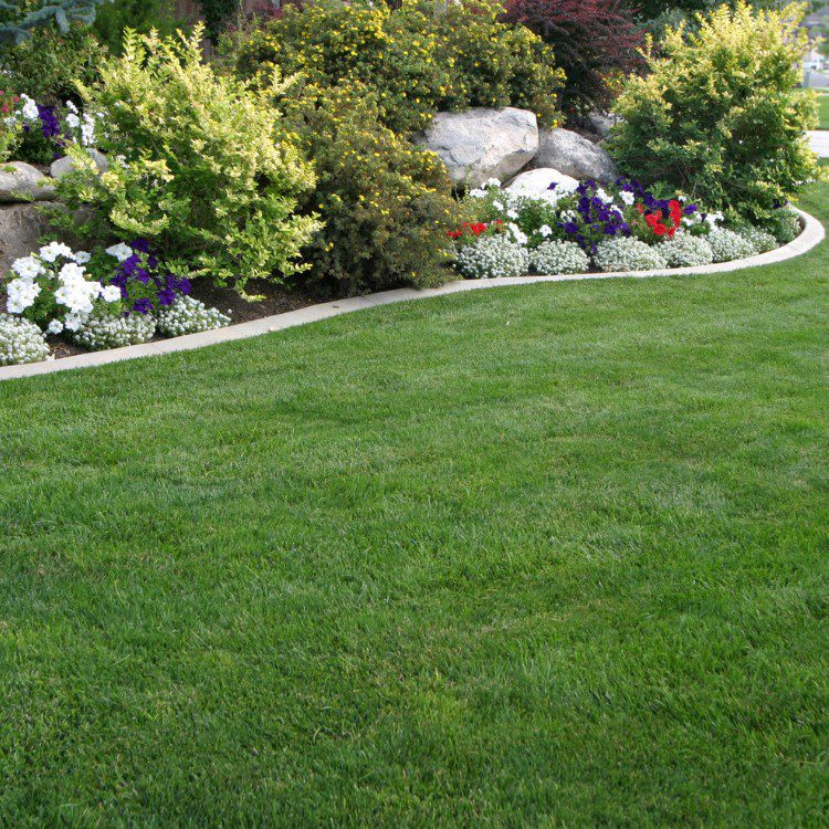 Lawn and Garden Services in Fort Worth